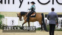 24BUCK_01135 thumbnail