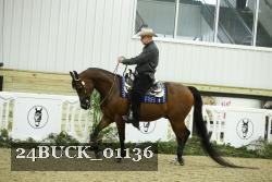 24BUCK_01136 thumbnail