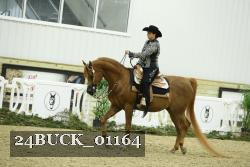 24BUCK_01164 thumbnail