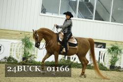 24BUCK_01166 thumbnail