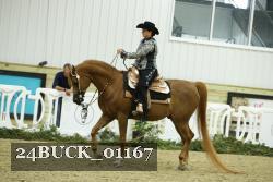 24BUCK_01167 thumbnail