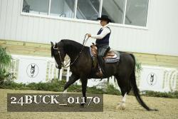 24BUCK_01170 thumbnail