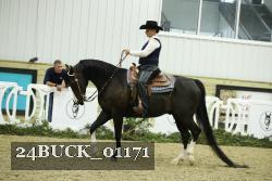 24BUCK_01171 thumbnail