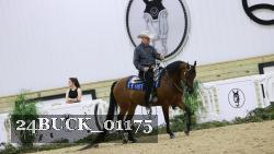 24BUCK_01175 thumbnail