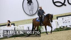 24BUCK_01176 thumbnail