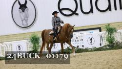 24BUCK_01179 thumbnail