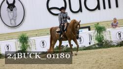 24BUCK_01180 thumbnail