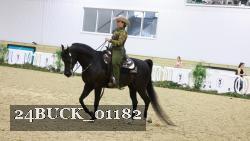 24BUCK_01182 thumbnail