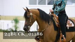 24BUCK_01186 thumbnail