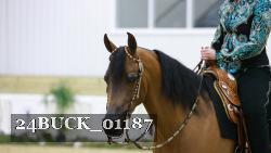 24BUCK_01187 thumbnail