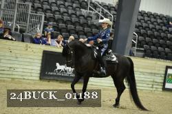 24BUCK_01188 thumbnail