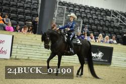 24BUCK_01190 thumbnail