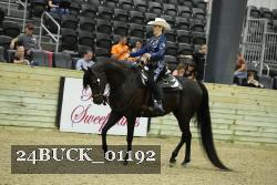24BUCK_01192 thumbnail