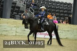 24BUCK_01195 thumbnail