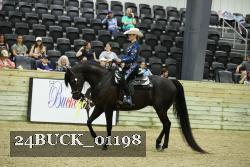 24BUCK_01198 thumbnail
