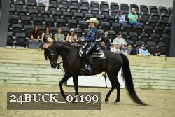 24BUCK_01199 thumbnail