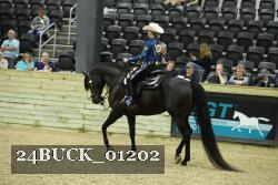 24BUCK_01202 thumbnail