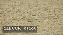 24BUCK_01206 thumbnail