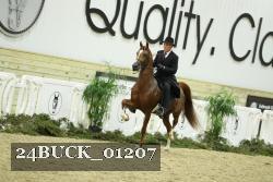 24BUCK_01207 thumbnail