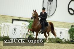 24BUCK_01208 thumbnail