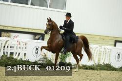 24BUCK_01209 thumbnail