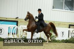 24BUCK_01210 thumbnail