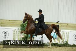 24BUCK_01211 thumbnail