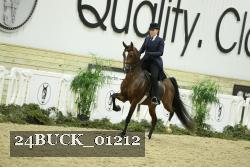 24BUCK_01212 thumbnail