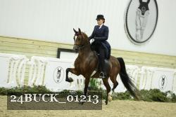 24BUCK_01213 thumbnail