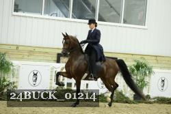 24BUCK_01214 thumbnail