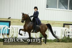24BUCK_01215 thumbnail