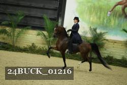 24BUCK_01216 thumbnail
