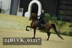24BUCK_01217 thumbnail