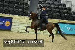 24BUCK_01218 thumbnail