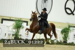 24BUCK_01222 thumbnail