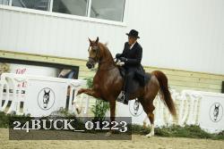 24BUCK_01223 thumbnail