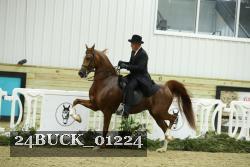 24BUCK_01224 thumbnail