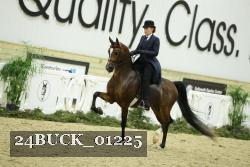 24BUCK_01225 thumbnail