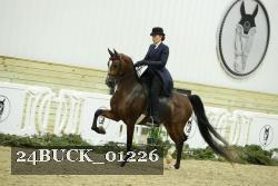 24BUCK_01226 thumbnail