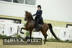 24BUCK_01227 thumbnail