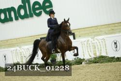 24BUCK_01228 thumbnail