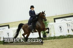24BUCK_01229 thumbnail