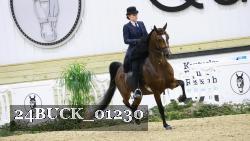 24BUCK_01230 thumbnail