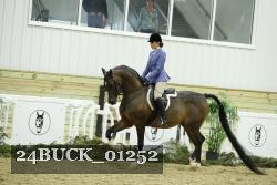 24BUCK_01252 thumbnail