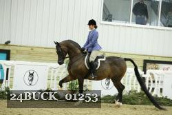 24BUCK_01253 thumbnail