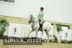 24BUCK_01254 thumbnail
