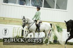 24BUCK_01255 thumbnail
