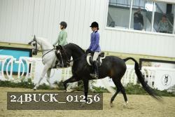 24BUCK_01256 thumbnail