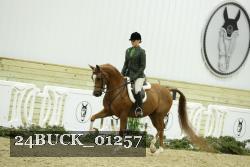 24BUCK_01257 thumbnail
