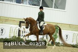 24BUCK_01258 thumbnail